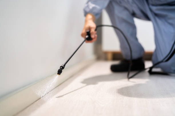 Licensed Pest Control service in Pink, OK - Show Me Pest Control