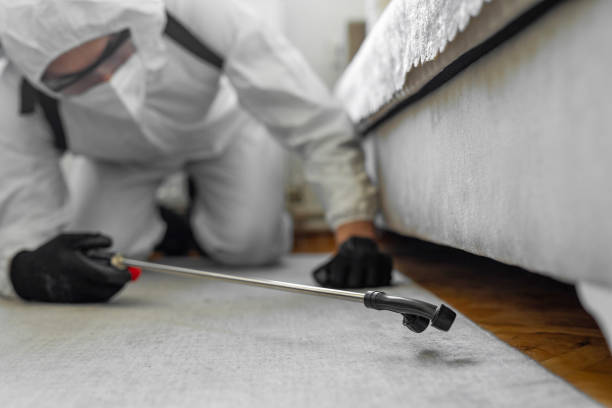 Professional Ant Control technician working in Pink, OK